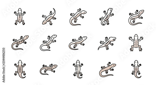Photos Collection of lizard icons in various poses for design and illustration