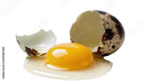 Konstfotografi Broken Quail Egg with Yolk and Shell Fragments