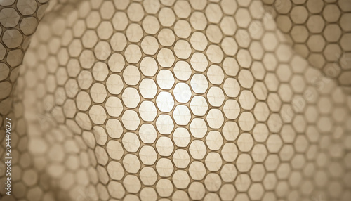 Translucent shed snake skin slough macro with geometric scale pattern