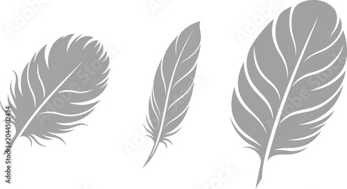 Tableau sur toile Grey Feather Vector Icons Set - Soft Bird Plumage and Elegant Quill Graphic Illu