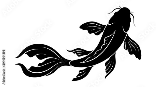 Fotografie Black Koi Fish Silhouette