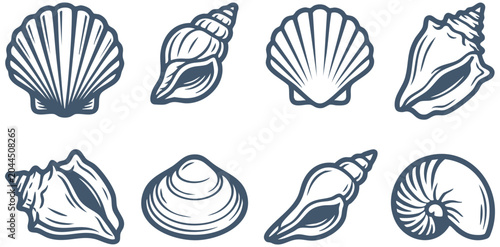 Bild auf Leinwand Detailed collection of monochrome seashell vector illustrations featuring variou