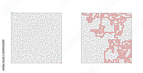 Maze design with intricate pathways and highlighted solution path  