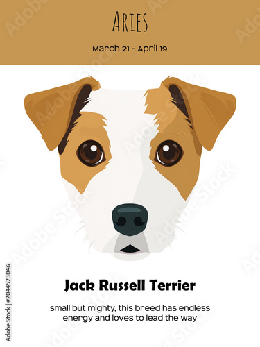 Zodiac sign Aries and Jack Russell Terrier Dog breed. Dog breed most compatible with Aries.
