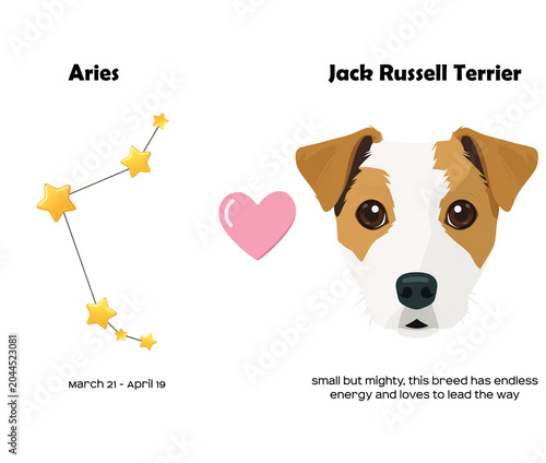 Zodiac sign Aries and Jack Russell Terrier Dog breed. Dog breed most compatible with Aries.