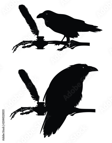 human skeleton hand and mysterious wise raven bird with antique feather pen and  ink pot nearby - magic scholar writer black and white vector design