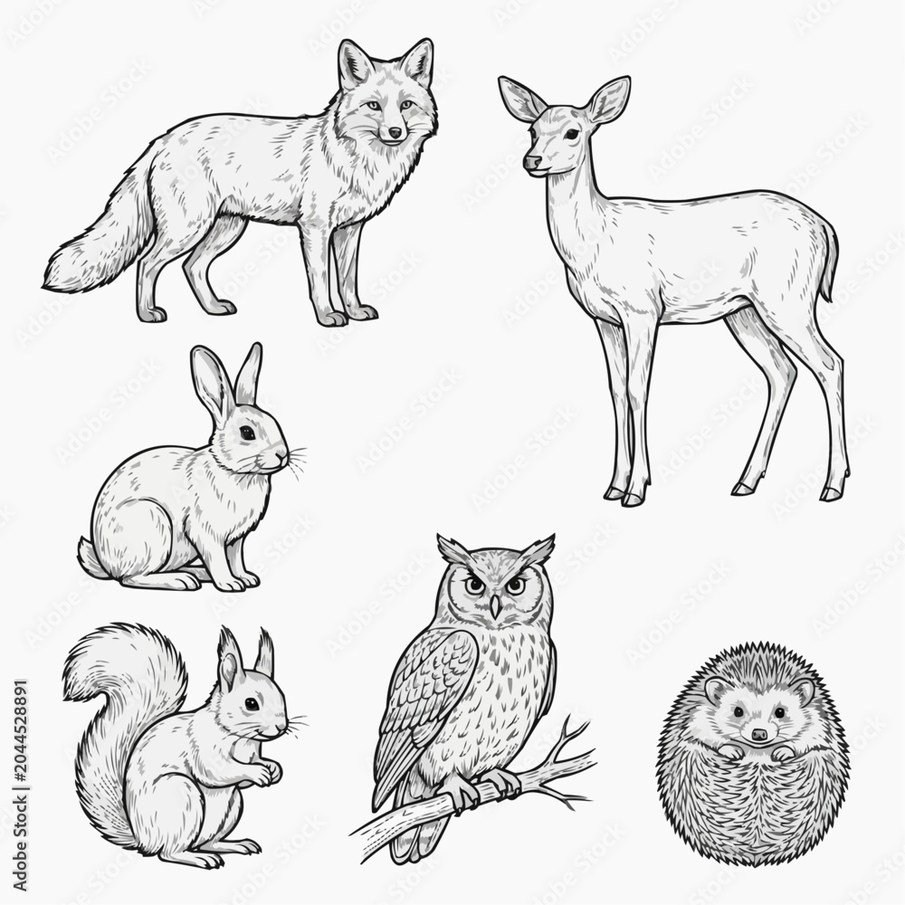 Obraz premium Rabbit Collection Line Art Vector Set Isolated on White Background
