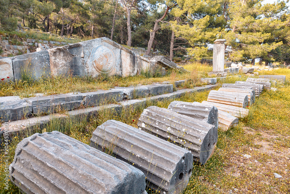 Naklejka premium Priene ancient city showing fallen stone columns and fragmented architectural elements among green grass and wildflowers