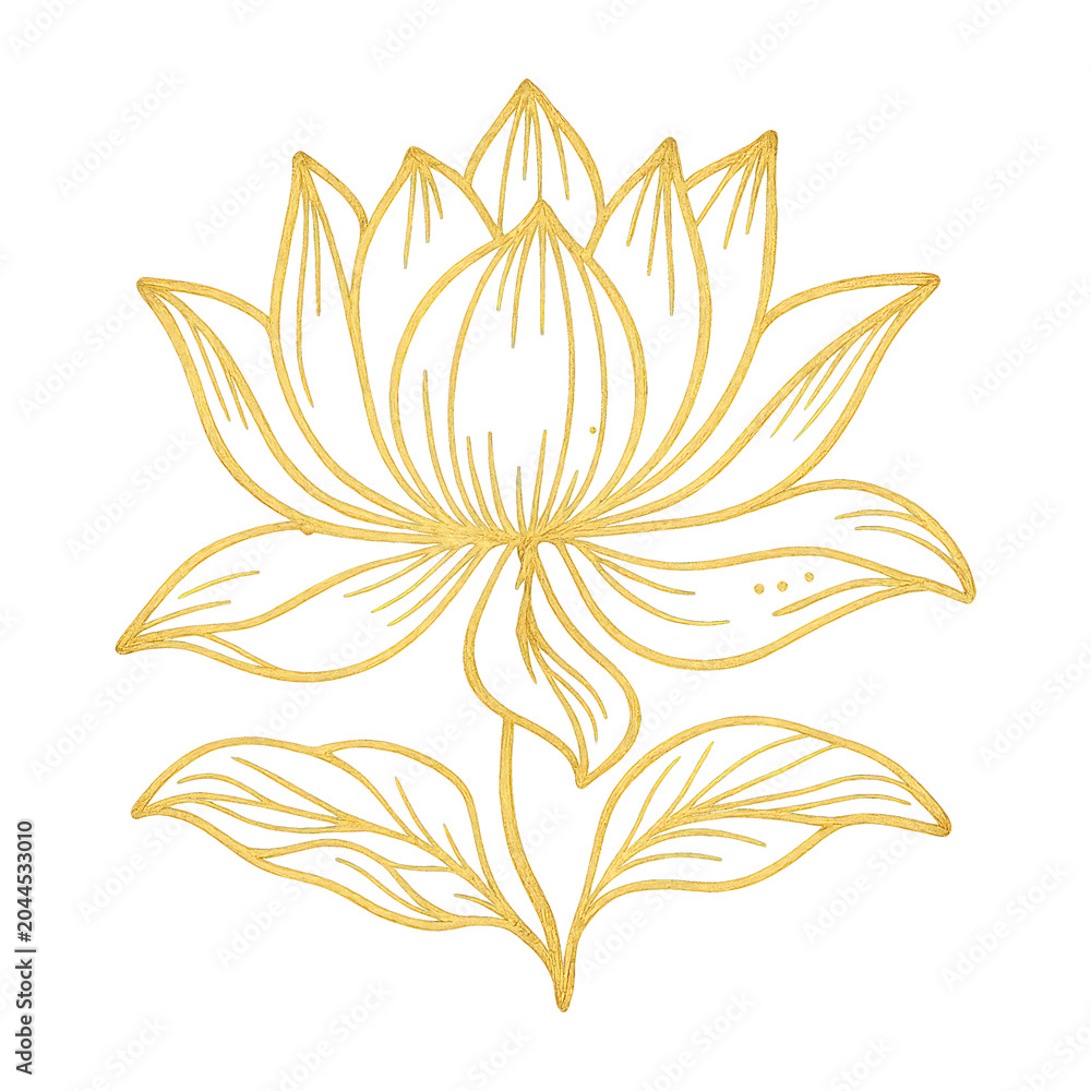 Obraz premium PNG Elegant golden lotus illustration