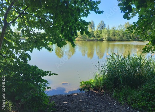 Sommernachmittag am Bettenauer Weiher