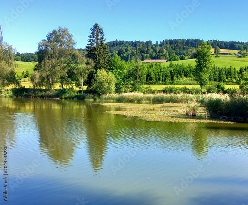 Sommernachmittag am Bettenauer Weiher