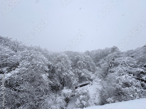 일본 겨울