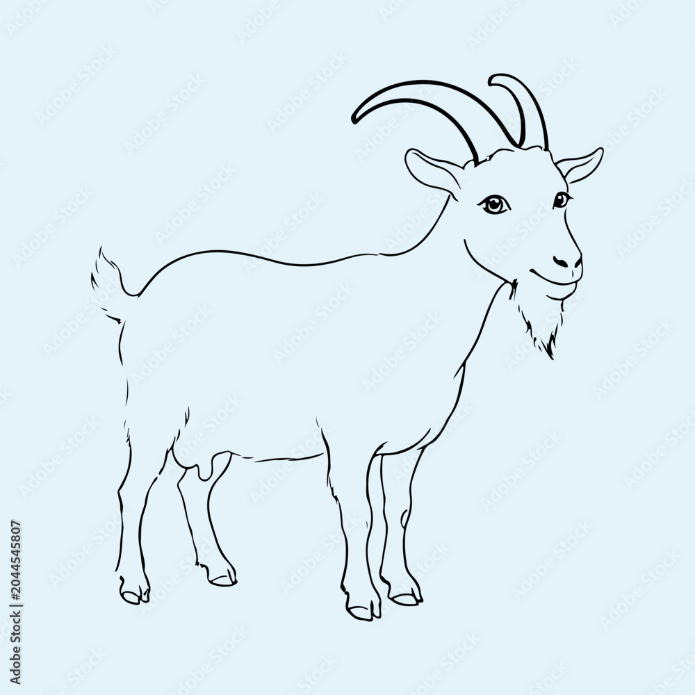 Fototapeta premium Cute Goat Vector Illustration Isolated on White Background.