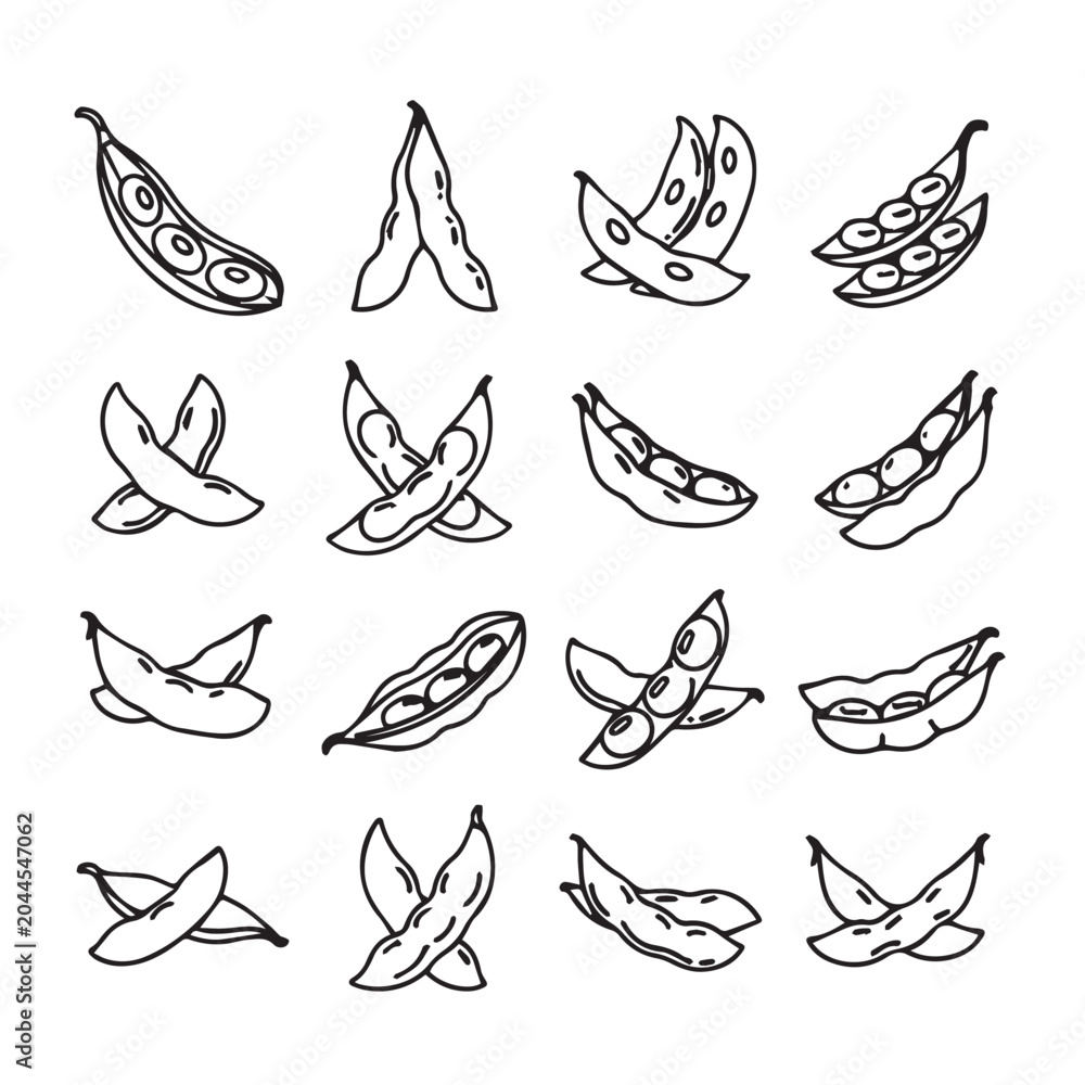 Obraz premium Edamame pods opening revealing healthy beans in a simple clean line drawing style with ample copy space