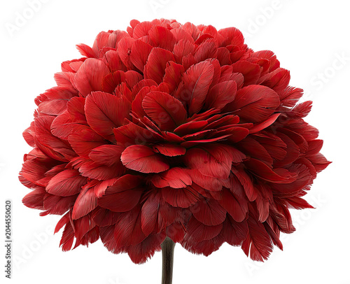 Red feathered sphere atop a stem, resembling a blooming flower