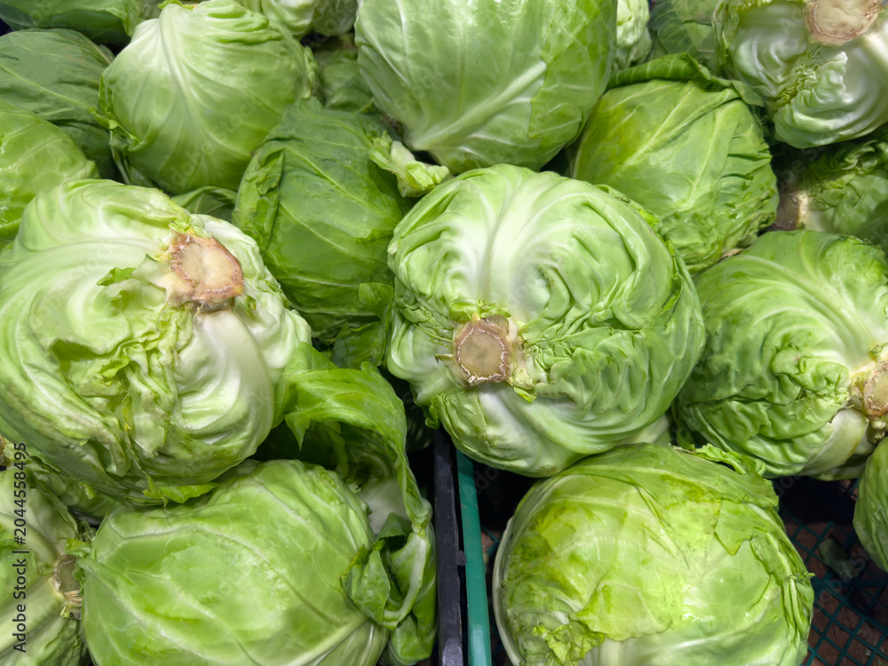 Fototapeta premium Freshly harvested young white cabbage in boxes in vegetable market