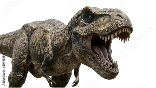 Schilderij op canvas t rex dinosaur roaring on transparent background