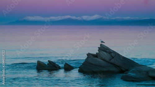 A serene landscape of a bird perched on rocks in calm water at dusk with mountains in the background