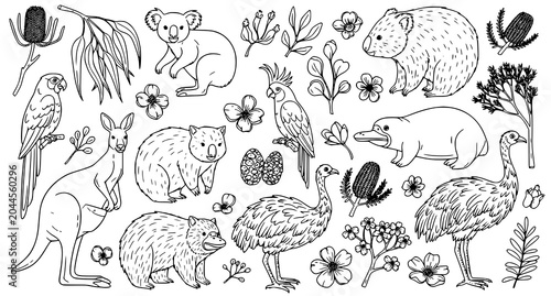 Foto Australian Wildlife and Botanical Doodle Set with Native Animals and Plants Vect
