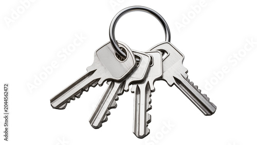 Slika na platnu Set of four silver metal keys on a ring