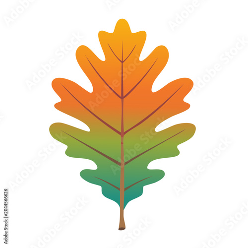 Stylized Oak Leaf with Autumn Colors
