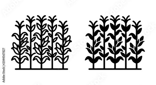 Foto Stylized Corn Stalk Icons, Agricultural Plant Graphics, Organic Farm Crop Vector