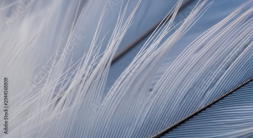 Close up macro detail of soft blue bird feather with abstract, delicate