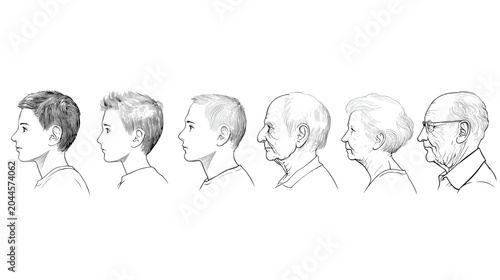 Foto Illustration of a Sequence of Human Profile Views Depicting Hair and Age Evoluti