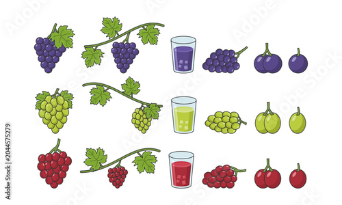 Vector illustration featuring a collection of grape clusters in various shapes. Perfect for fruit, agriculture, vineyard, healthy food, organic products, and nutrition design themes.
