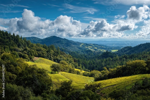 Verdant rolling hills under a dramatic sky with vibrant yellow wildflowers in the foreground and a distant cityscape visible on the horizon bathed in natural sunlight creating a breathtaking
