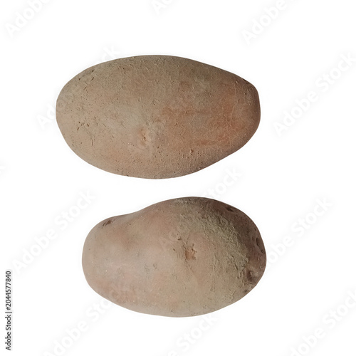 Slika na platnu Two raw brown potatoes isolated on a simple surface