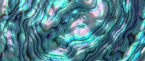 Iridescent abalone shell texture background with shimmering mother of pearl pattern in turquoise, blue and pink tones. 