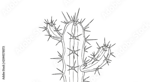 Foto Cactus silhouette on black background desert plant outline