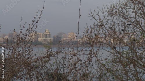view of the Sea in the Mumbai city