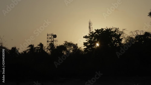 sunset in the field