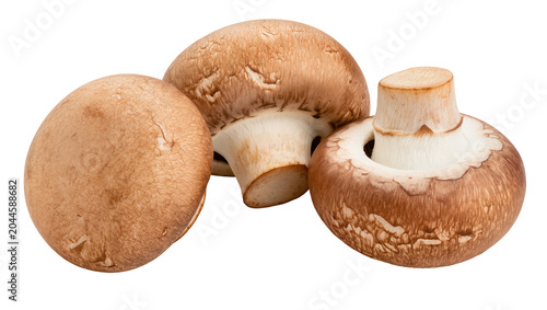 Konstfotografi Three brown cremini mushrooms with visible gills and stems