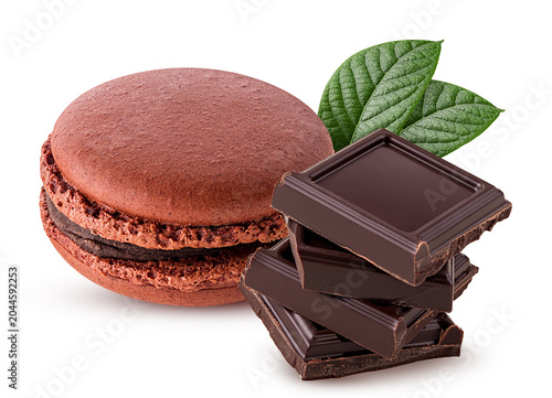 Macaroon chocolate with green leaf
