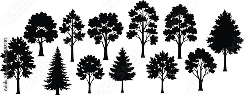 Diverse Tree Silhouette Collection Set with Deciduous and Evergreen Forest Trees Isolated Vector Illustration
