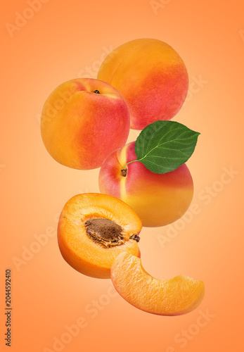 Fly fresh ripe apricot with green leaf and slice