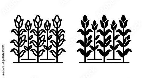 Bilde på lerret Corn Stalk Icons, Maize Plant Vector Graphics, Agricultural Crop Symbols, Organi