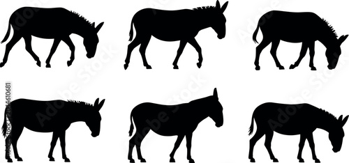 Schilderij op canvas Donkey silhouette collection set with various walking standing and grazing farm