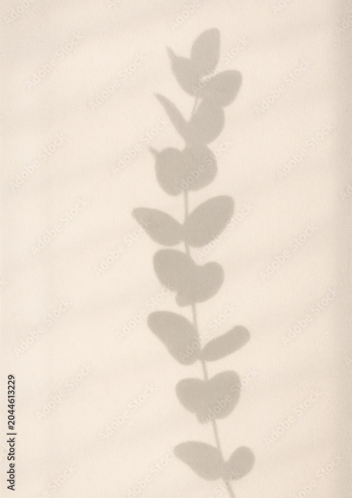 Obraz premium Minimalist leaf shadow elegance