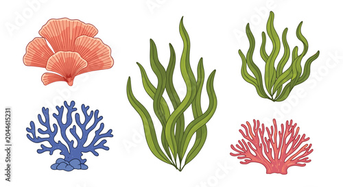 Collection of colorful sea creatures includes various types of coral and green seaweed plants isolated on a white background.