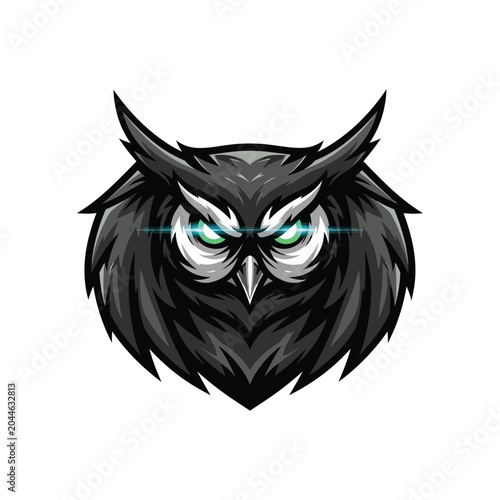 Owl Face with Blue Eyes.