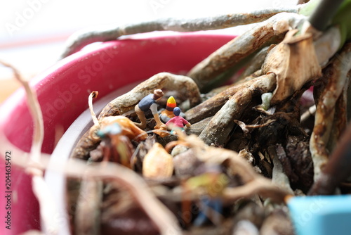 Miniature people on a roots of a flower.