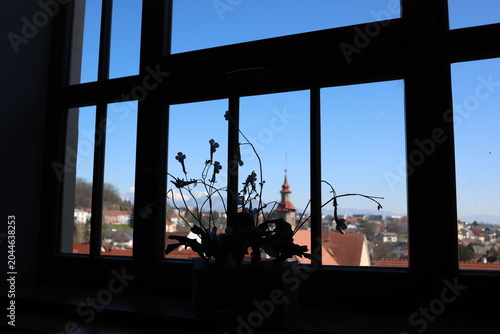Look through the window with flowers on a shelf.