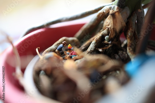 Miniature people on a roots of a flower.