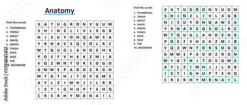 Bild auf Leinwand Anatomy word search worksheet with various terms and grid layout