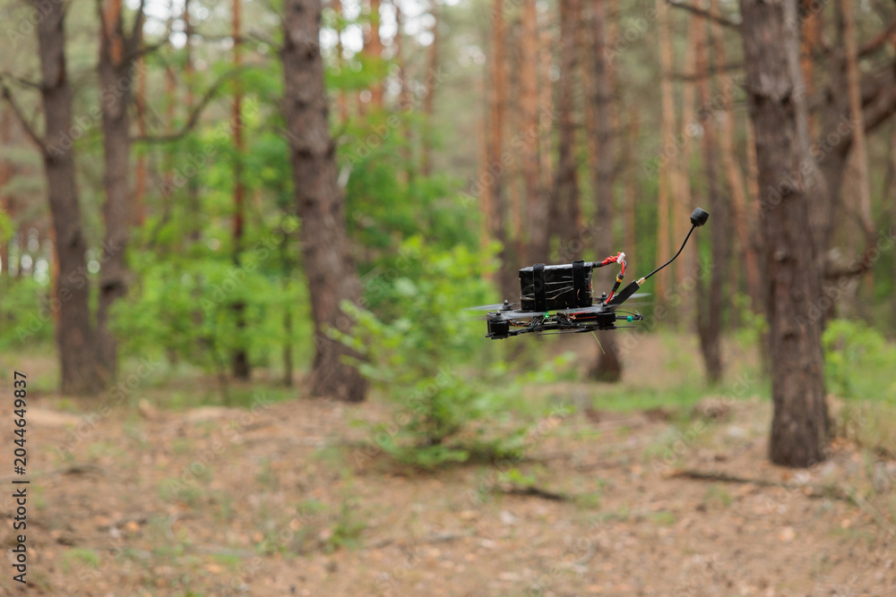 Obraz premium drone flies into the forest