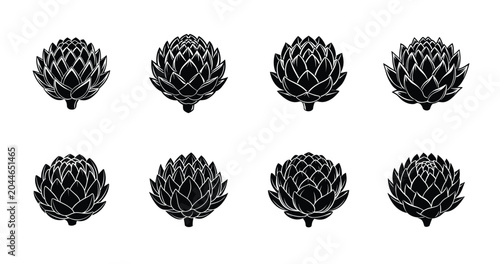Collection of eight unique black artichoke flower illustrations